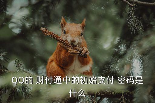 QQ的 財(cái)付通中的初始支付 密碼是什么