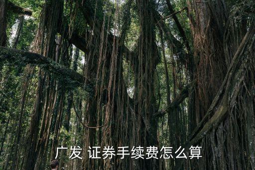  廣發(fā) 證券手續(xù)費怎么算