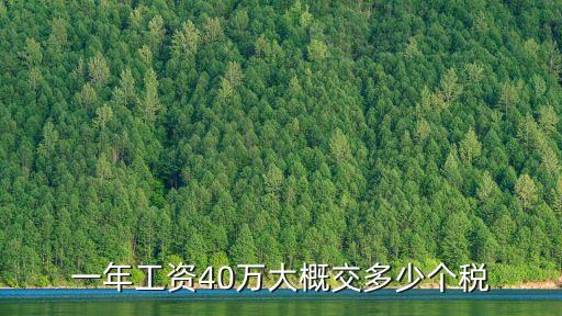 40萬交個人所得稅多少,1000萬個人所得稅要交多少