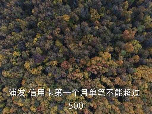 浦發(fā) 信用卡第一個月單筆不能超過 500