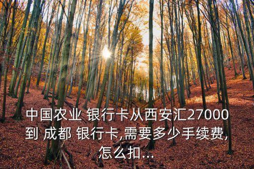 成都銀行的扣費標(biāo)準(zhǔn)是多少