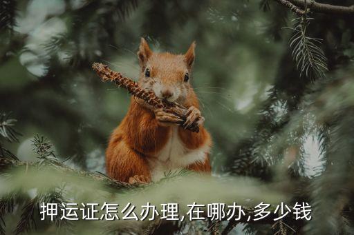 工商押證給多少錢,辦個工商證怎么辦?多少錢?