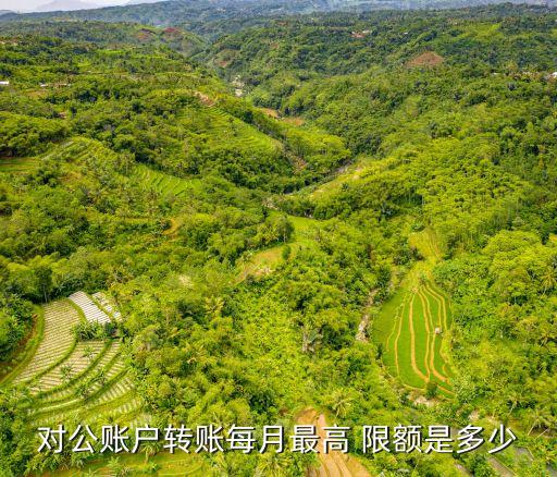 樂收銀月限額多少