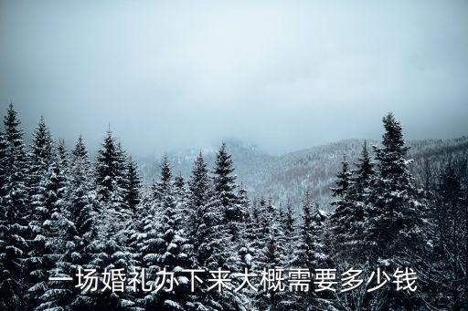 一場(chǎng)婚禮辦下來(lái)大概需要多少錢(qián)