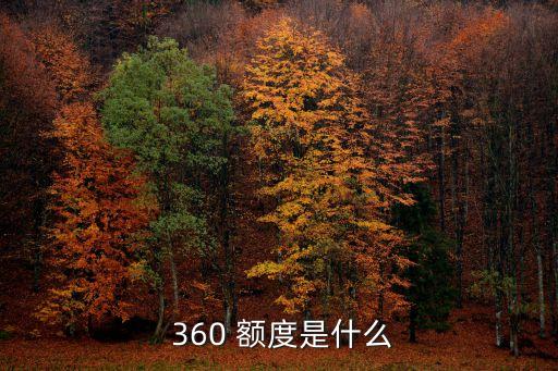  360 額度是什么