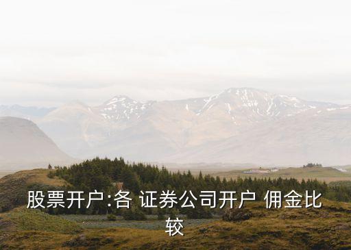 東莞證券怎么查傭金是多少