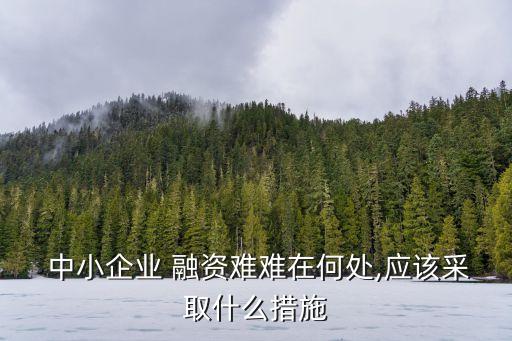  中小企業(yè) 融資難難在何處,應(yīng)該采取什么措施