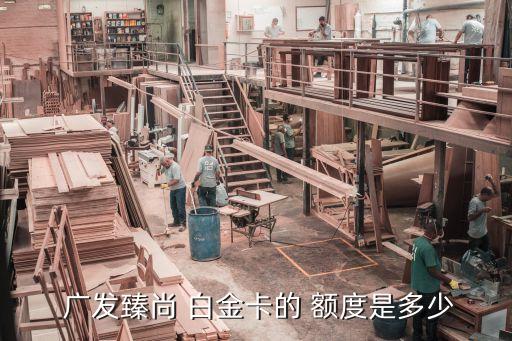  廣發(fā)臻尚 白金卡的 額度是多少