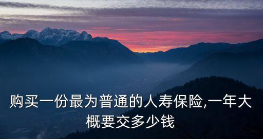 購(gòu)買(mǎi)一份最為普通的人壽保險(xiǎn),一年大概要交多少錢(qián)