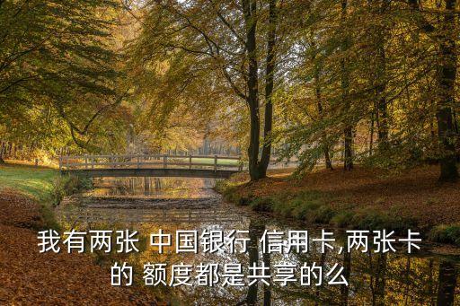 中國銀行有雙幣信用卡額度多少,亞馬遜中國銀行雙幣信用卡