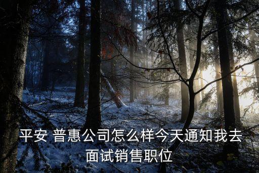 深圳平安普惠底薪多少