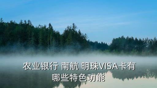  農(nóng)業(yè)銀行 南航 明珠VISA卡有哪些特色功能