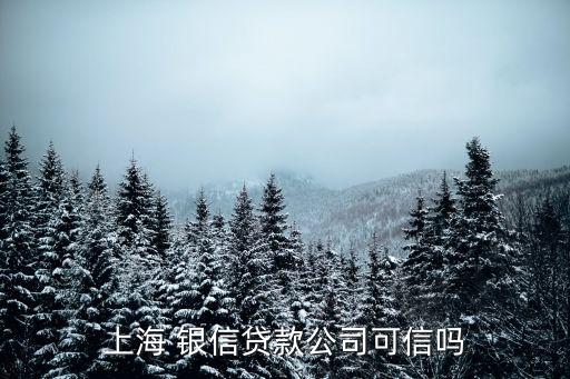 上海 銀信貸款公司可信嗎
