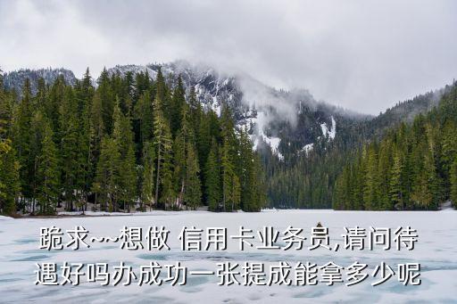 辦一個信用卡掙多少錢,辦個信用卡需要什么條件