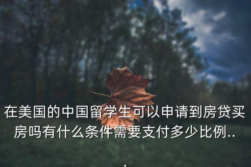 他們能夠貸到多少款英文