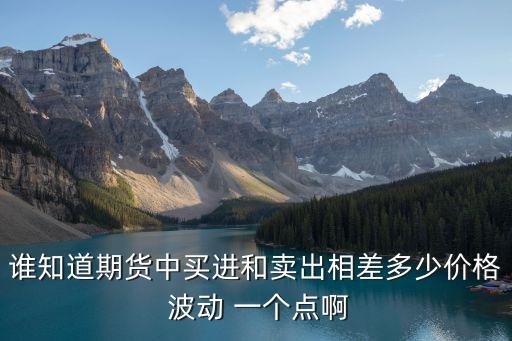 誰知道期貨中買進和賣出相差多少價格 波動 一個點啊