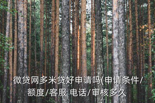  微貸網(wǎng)多米貸好申請嗎(申請條件/額度/客服 電話/審核多久