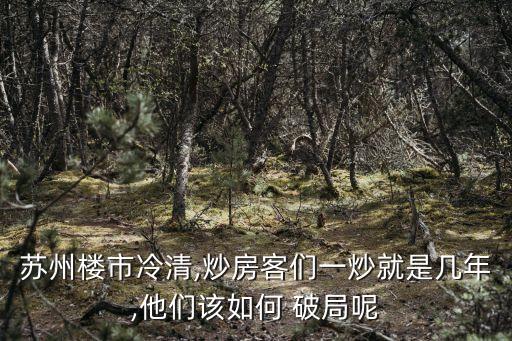 蘇州樓市冷清,炒房客們一炒就是幾年,他們該如何 破局呢