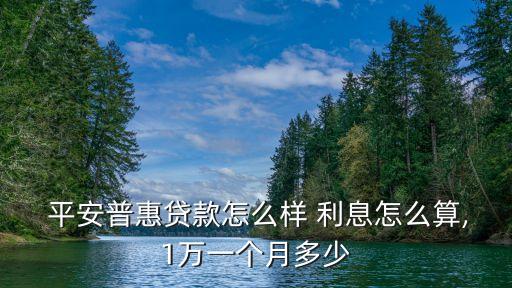  平安普惠貸款怎么樣 利息怎么算,1萬一個月多少