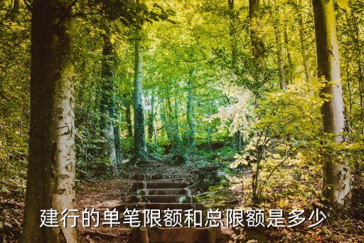 網(wǎng)頁(yè)上的建行額度多少,建行白金卡額度一般多少