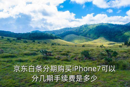 蘋果7分12期多少錢,蘋果12名mini多少價(jià)?
