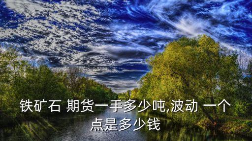 鐵礦石 期貨一手多少噸,波動 一個點是多少錢