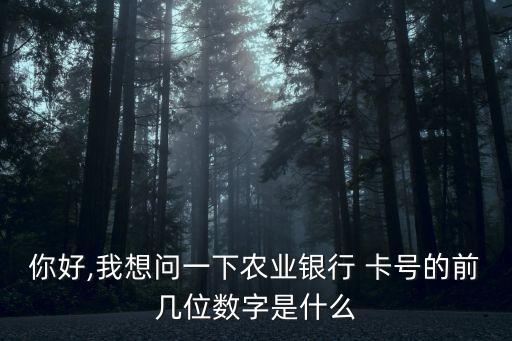 農(nóng)行的卡號多少位,農(nóng)行卡號多少位622848