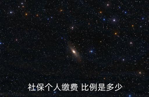  社保個人繳費(fèi) 比例是多少