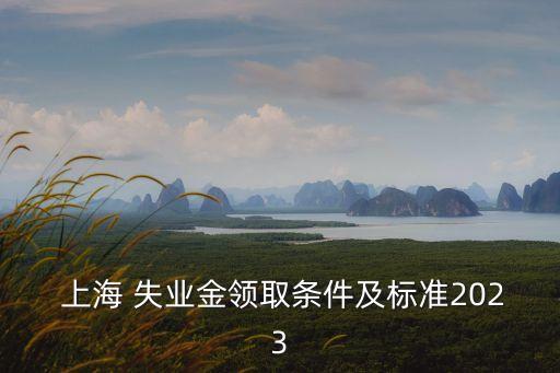  上海 失業(yè)金領(lǐng)取條件及標(biāo)準(zhǔn)2023
