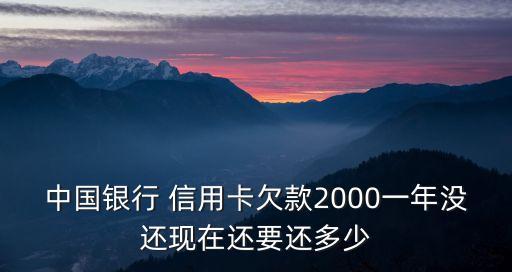 中國銀行 信用卡欠款2000一年沒還現(xiàn)在還要還多少
