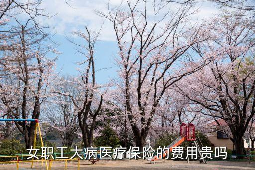 女職工大病醫(yī)療保險的費用貴嗎