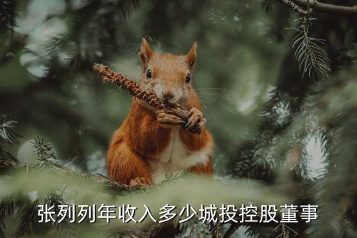 張列列年收入多少城投控股董事