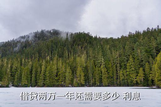 貸款萬二利息是多少,貸款40萬二套利息和一套相差多少