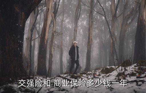 交強險和 商業(yè)保險多少錢一年
