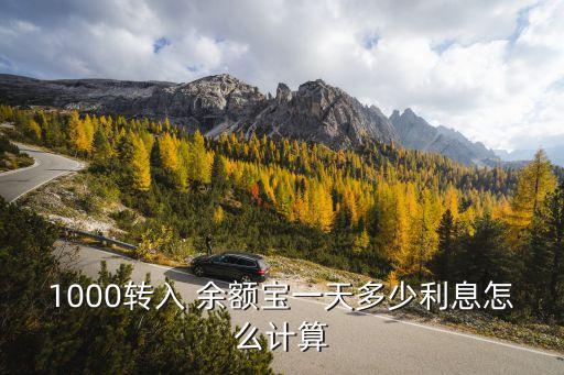一千存余額寶收益多少,余額寶存一千怎么沒(méi)有收益