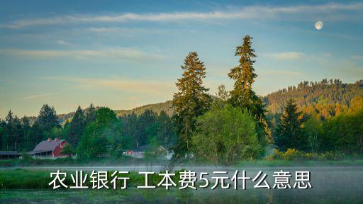 農(nóng)業(yè)銀行 工本費(fèi)5元什么意思