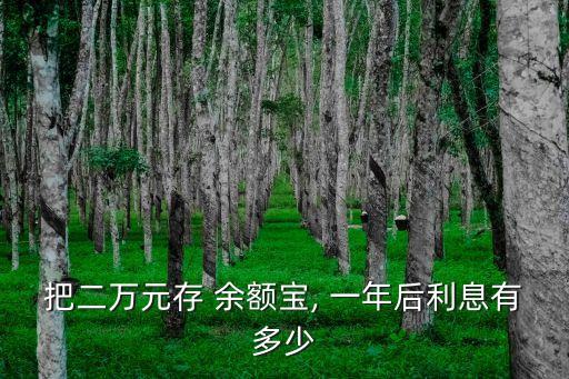 2萬放余額寶一年多少錢