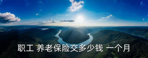 職工 養(yǎng)老保險(xiǎn)交多少錢 一個(gè)月