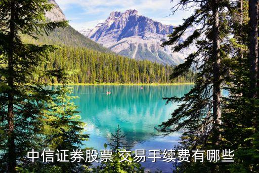  中信證券股票 交易手續(xù)費(fèi)有哪些