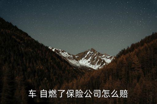 自燃險賠多少,汽車自燃險怎么賠