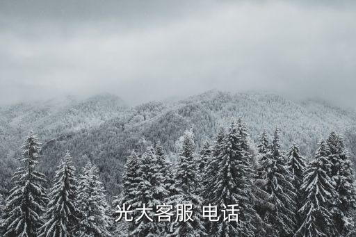 光大客服 電話
