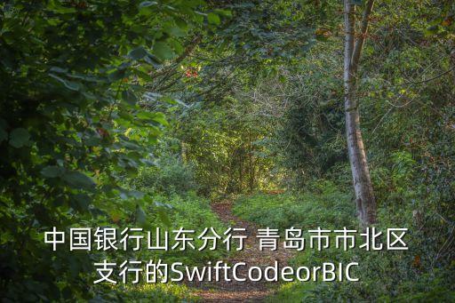 中國銀行青島市南支行電話多少人