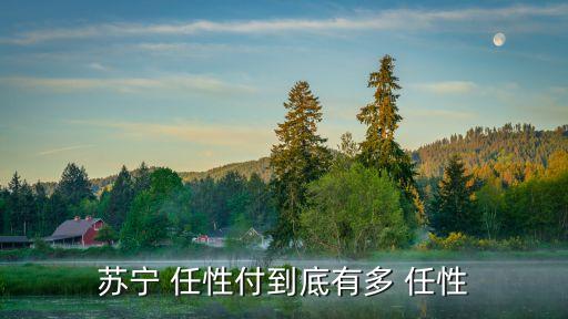 蘇寧 任性付到底有多 任性