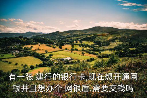有一張 建行的銀行卡,現(xiàn)在想開通網(wǎng)銀并且想辦個 網(wǎng)銀盾.需要交錢嗎
