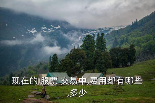 現(xiàn)在的 股票 交易中,費(fèi)用都有哪些,多少
