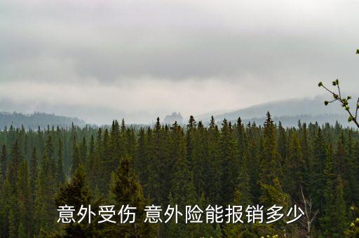  意外受傷 意外險(xiǎn)能報(bào)銷多少