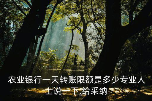  農(nóng)業(yè)銀行一天轉(zhuǎn)賬限額是多少專業(yè)人士說一下,給采納