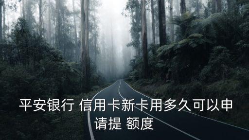  平安銀行 信用卡新卡用多久可以申請?zhí)?額度