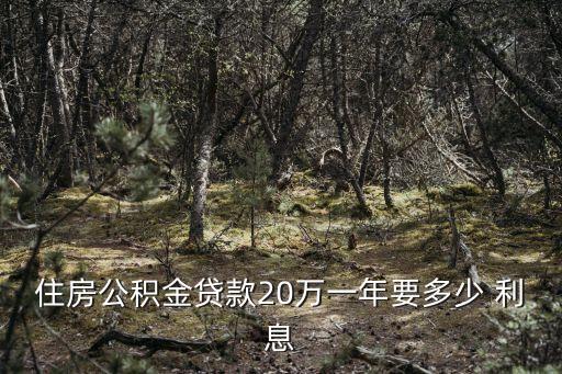 貸20萬(wàn)每年多少利息是多少錢,20萬(wàn)貸20年利息多少錢