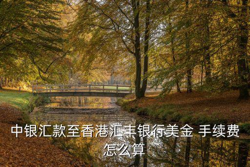 中行 美元轉(zhuǎn)賬手續(xù)費多少,中行跨行轉(zhuǎn)賬手續(xù)費如何收取